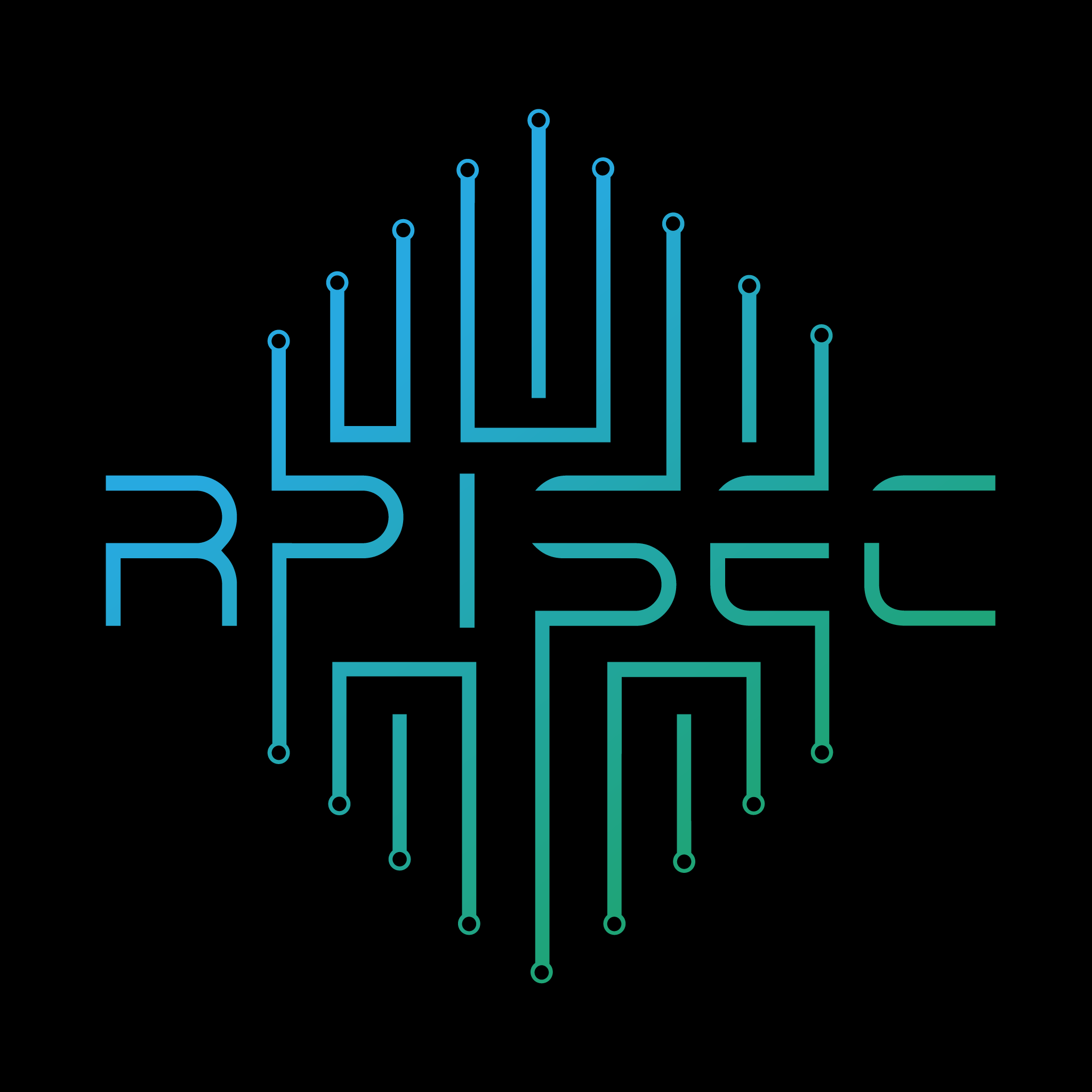 RPISEC: RPI's Cybersecurity Team